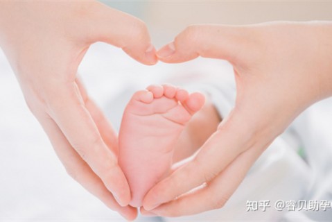 http://hangzhou.51dzb.net/post/188.html|杭州新闻中心